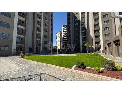 WhatsApp Image 2025-04-29 at 11.13.48.jpeg